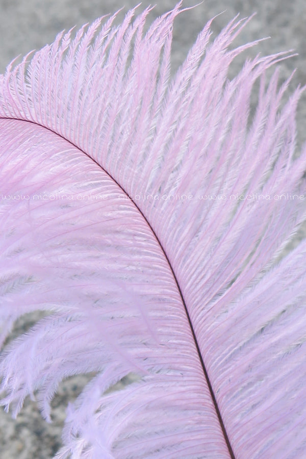 Ostrich Plume medium - Violet - feather plus