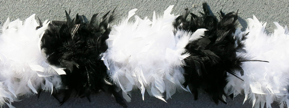 feather plus