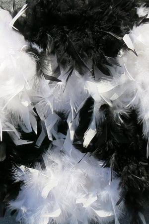 Chandelle Feather Boa - black and white