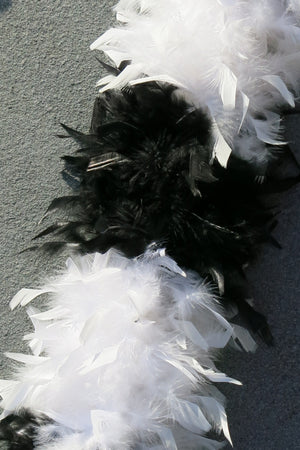 Chandelle Feather Boa - black and white