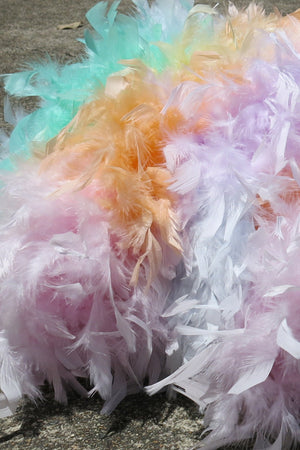 Chandelle Feather Boa - pastel rainbow