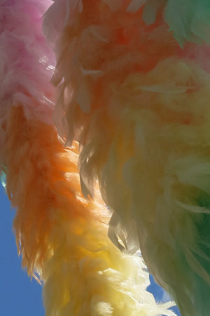 Chandelle Feather Boa - pastel rainbow