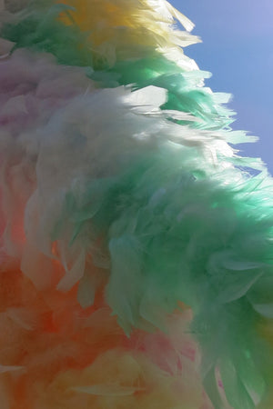 Chandelle Feather Boa - pastel rainbow