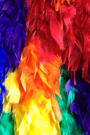 Chandelle Feather Boa - rainbow