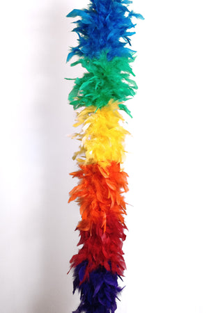 Chandelle Feather Boa - rainbow