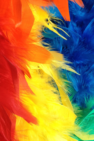 Chandelle Feather Boa - rainbow