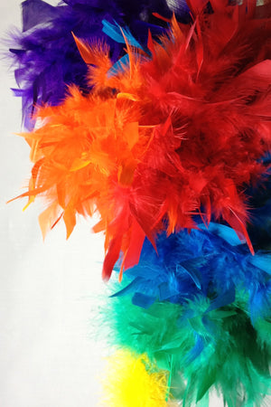 Chandelle Feather Boa - rainbow