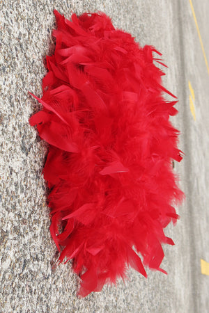 Chandelle Feather Boa - red