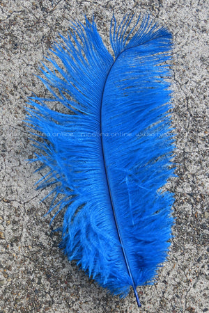 Ostrich Plume medium - Azure