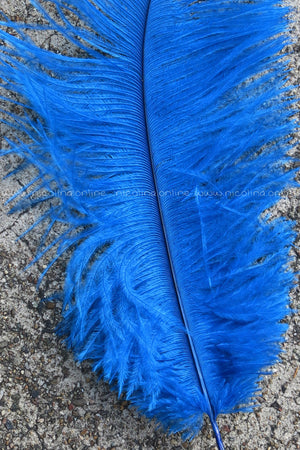 Ostrich Plume medium - Azure