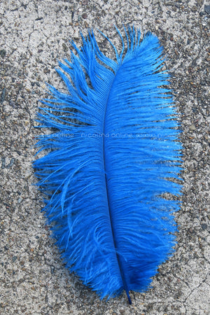 Ostrich Plume medium - Azure