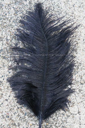 Ostrich Plume medium - Black