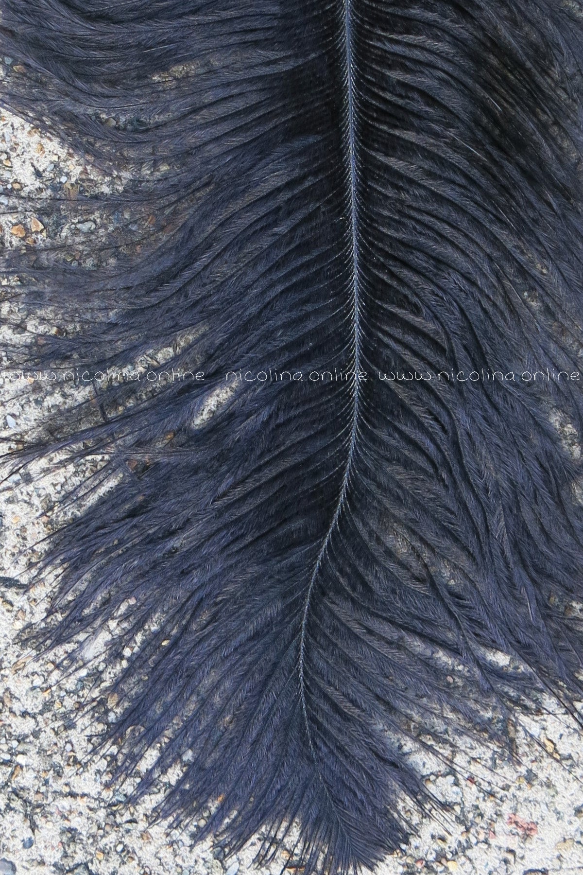 Ostrich Plume medium - Violet - feather plus