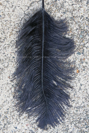 Ostrich Plume medium - Black