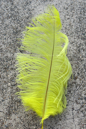 Ostrich Plume medium - Bright Yellow