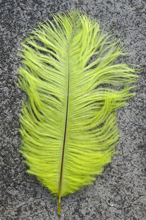 Ostrich Plume medium - Bright Yellow