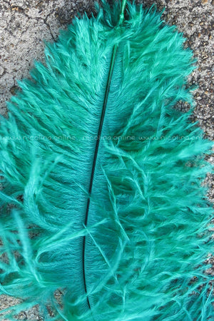 Ostrich Plume medium - Green