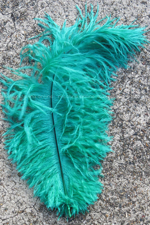 Ostrich Plume medium - Green