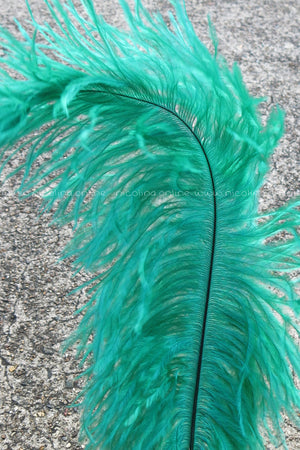 Ostrich Plume medium - Green