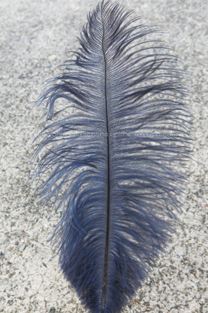 Ostrich Plume medium - Grey