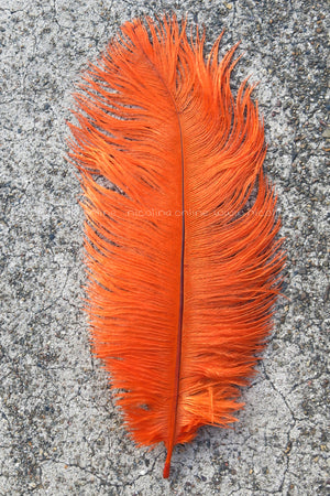 Ostrich Plume medium - Orange