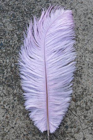 Ostrich Plume medium - Pale Pink