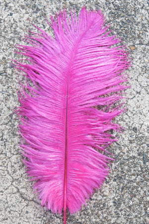 Ostrich Plume medium - Purple