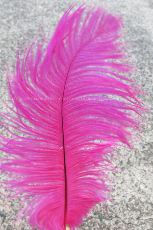 Ostrich Plume medium - Purple