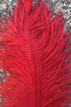 Ostrich Plume medium - Red