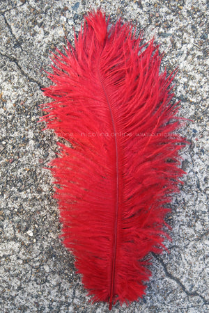 Ostrich Plume medium - Red