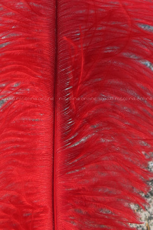 Ostrich Plume medium - Red