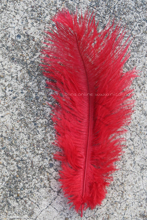 Ostrich Plume medium - Red