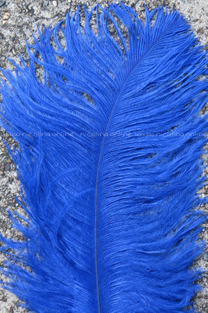 Ostrich Plume medium - Royal Blue