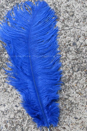 Ostrich Plume medium - Royal Blue