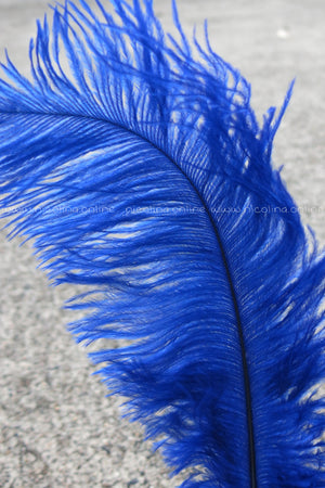 Ostrich Plume medium - Royal Blue