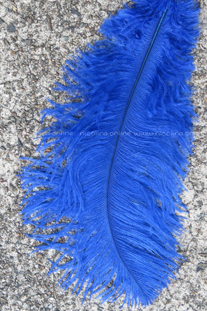 Ostrich Plume medium - Royal Blue