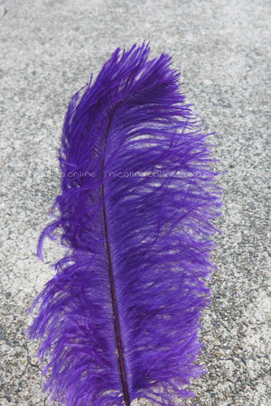 Ostrich Plume medium - Violet