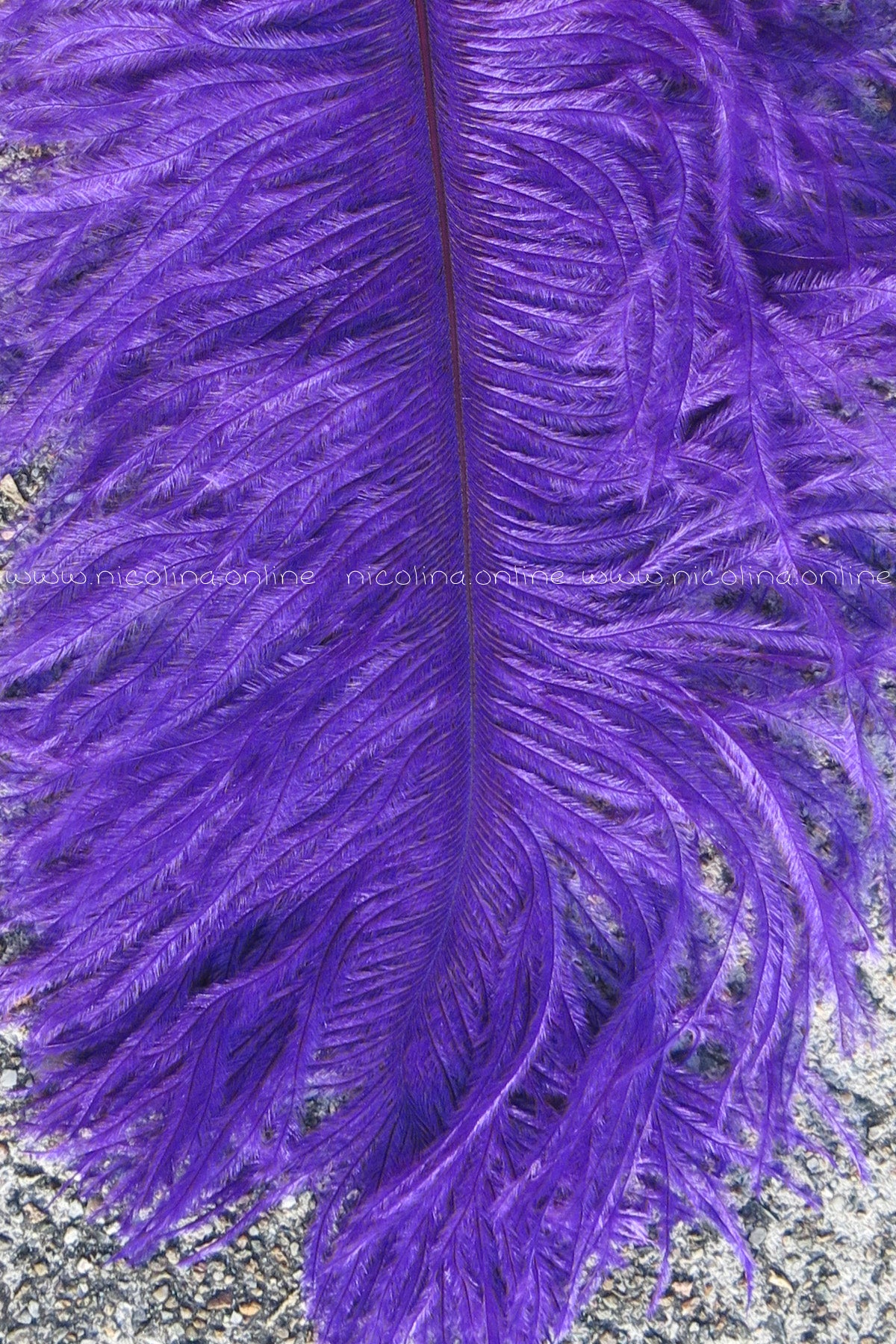 Purple Ostrich Feather Plume