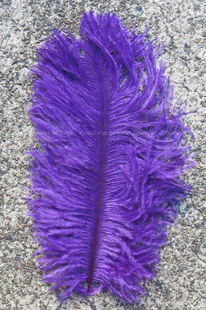 Ostrich Plume medium - Violet